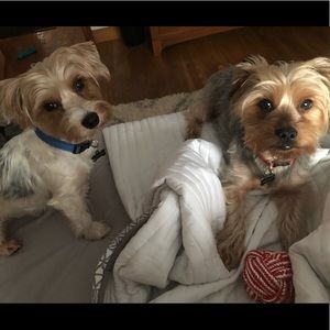 Meet your Posher, Madison